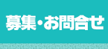 募集・お問合せ